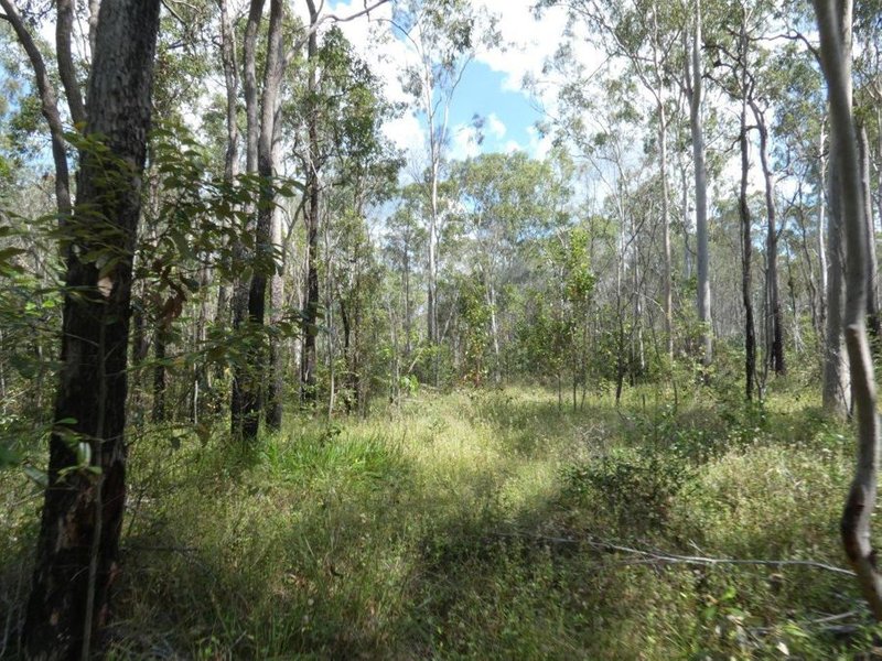 Photo - Lot 101 Mollenhagens Road, Rosedale QLD 4674 - Image 24