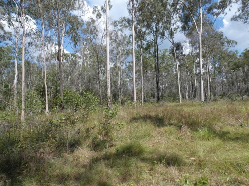 Photo - Lot 101 Mollenhagens Road, Rosedale QLD 4674 - Image 26