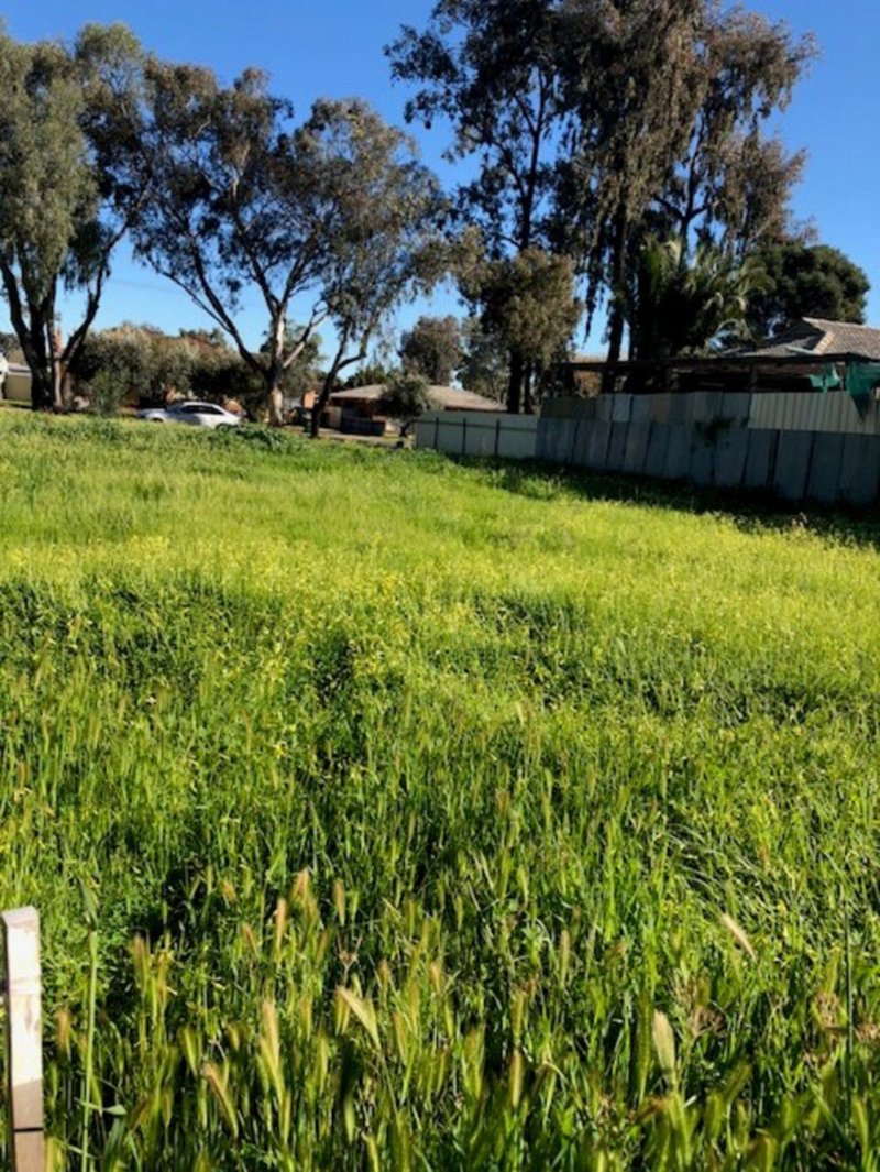 Photo - Lot 101/302A Whites Road, Paralowie SA 5108 - Image 3