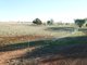 Photo - Lot 102, 63 Phillip Lane, Tamworth NSW 2340 - Image 3