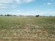 Photo - Lot 102, 63 Phillip Lane, Tamworth NSW 2340 - Image 5