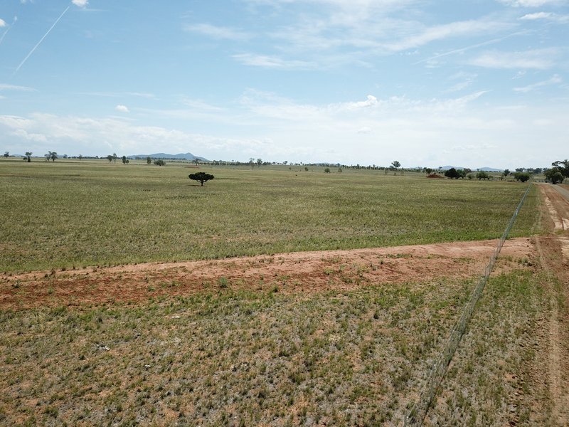 Photo - Lot 102, 63 Phillip Lane, Tamworth NSW 2340 - Image 7