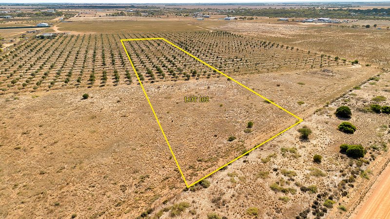 Lot 102 Schutt Road, Dublin SA 5501