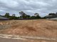 Photo - Lot 103 48 Cheek Avenue, Gawler East SA 5118 - Image 5