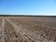 Photo - Lot 103 Kulde Road, Tailem Bend SA 5260 - Image 7