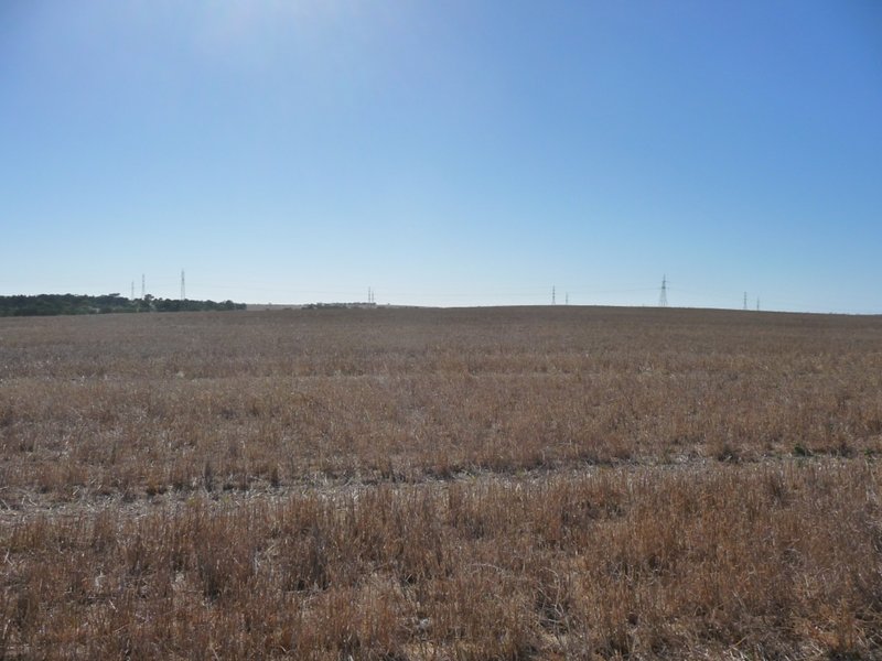 Photo - Lot 103 Kulde Road, Tailem Bend SA 5260 - Image 8