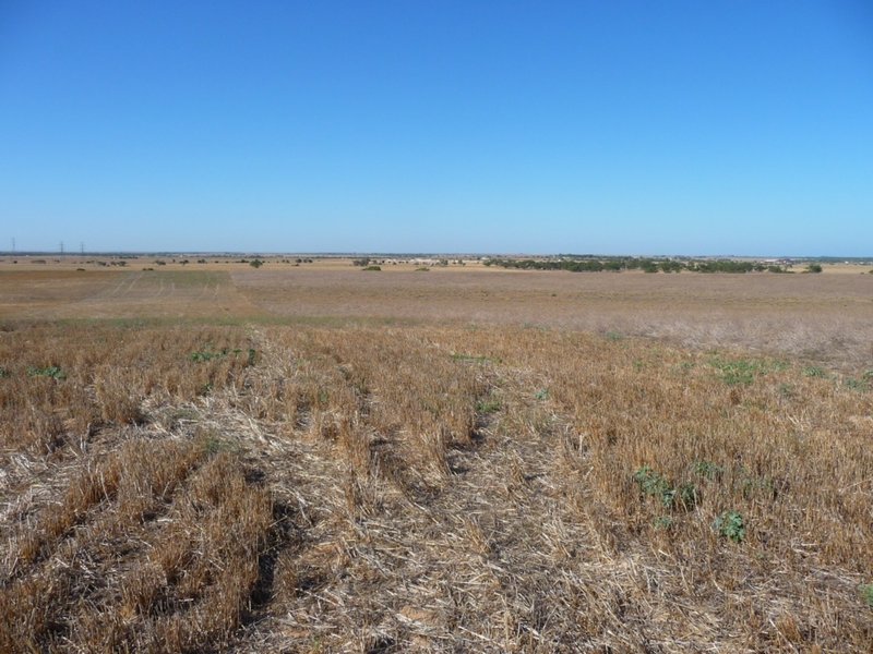 Photo - Lot 103 Kulde Road, Tailem Bend SA 5260 - Image 11