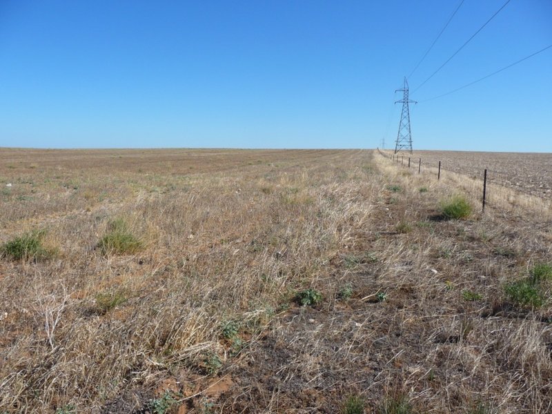 Photo - Lot 103 Kulde Road, Tailem Bend SA 5260 - Image 14