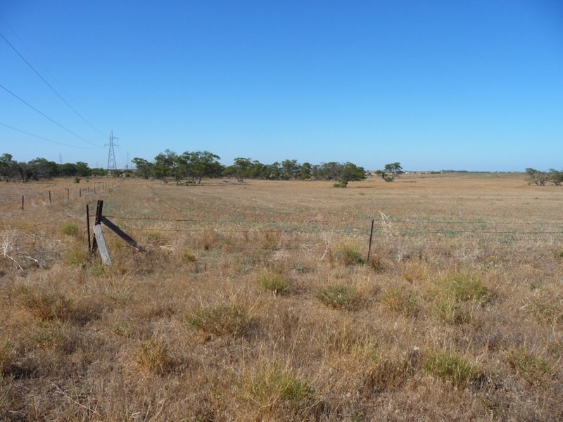 Photo - Lot 103 Kulde Road, Tailem Bend SA 5260 - Image 15