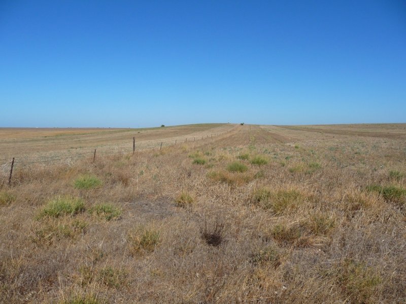 Photo - Lot 103 Kulde Road, Tailem Bend SA 5260 - Image 16