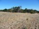 Photo - Lot 103 Kulde Road, Tailem Bend SA 5260 - Image 17