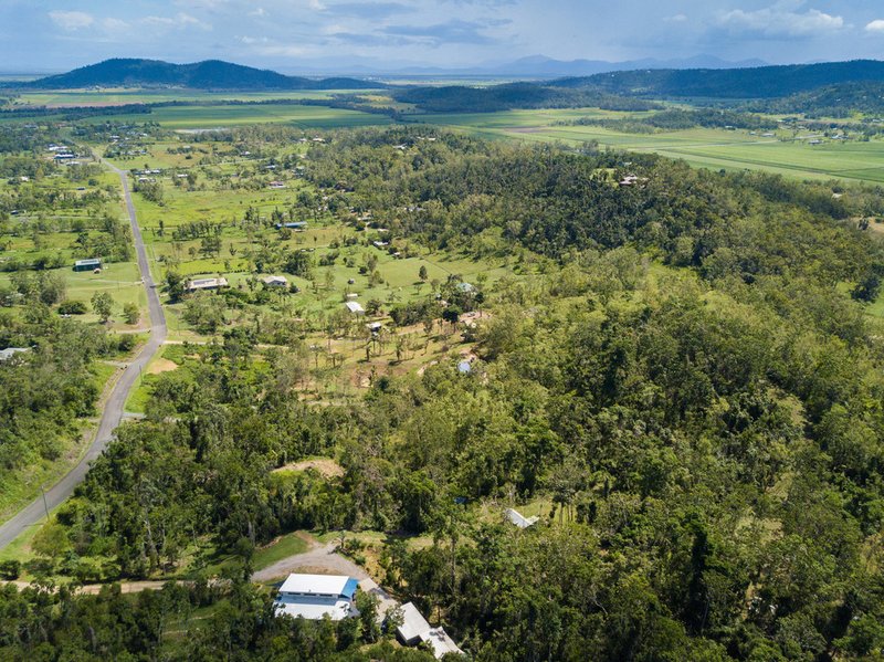 Photo - Lot 103 Moodys Road, Strathdickie QLD 4800 - Image 8