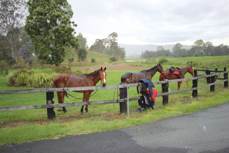 Lot 103 Scarvell Place, Kooralbyn QLD 4285