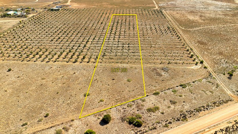 Lot 103 Schutt Road, Dublin SA 5501