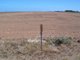 Photo - Lot 103 Tozer Road, Waterloo Corner SA 5110 - Image 2