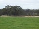 Photo - Lot 103 Wilson Road, Mount Barker WA 6324 - Image 1