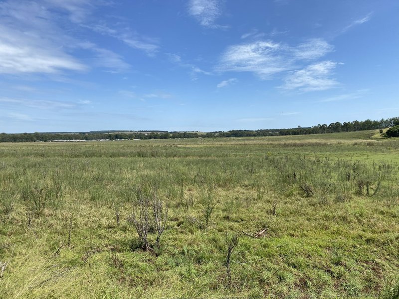 Photo - Lot 104 Bunya Highway, Memerambi QLD 4610 - Image 5