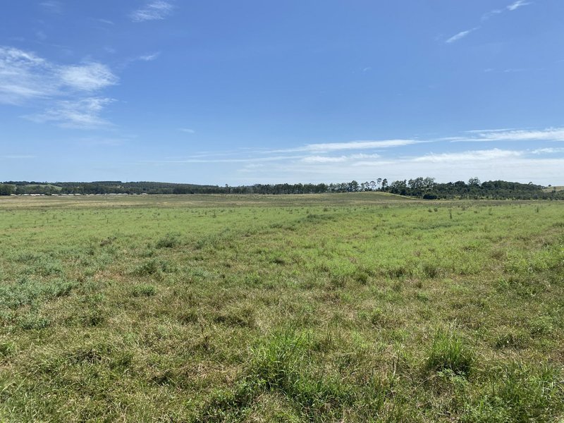 Photo - Lot 104 Bunya Highway, Memerambi QLD 4610 - Image 6