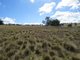 Photo - Lot 104 Clements Road, Woodstock NSW 2793 - Image 4