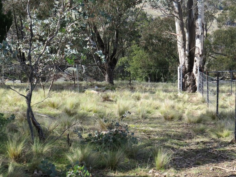 Photo - Lot 104 Clements Road, Woodstock NSW 2793 - Image 7