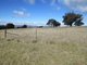 Photo - Lot 104 Clements Road, Woodstock NSW 2793 - Image 11