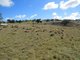 Photo - Lot 104 Clements Road, Woodstock NSW 2793 - Image 13