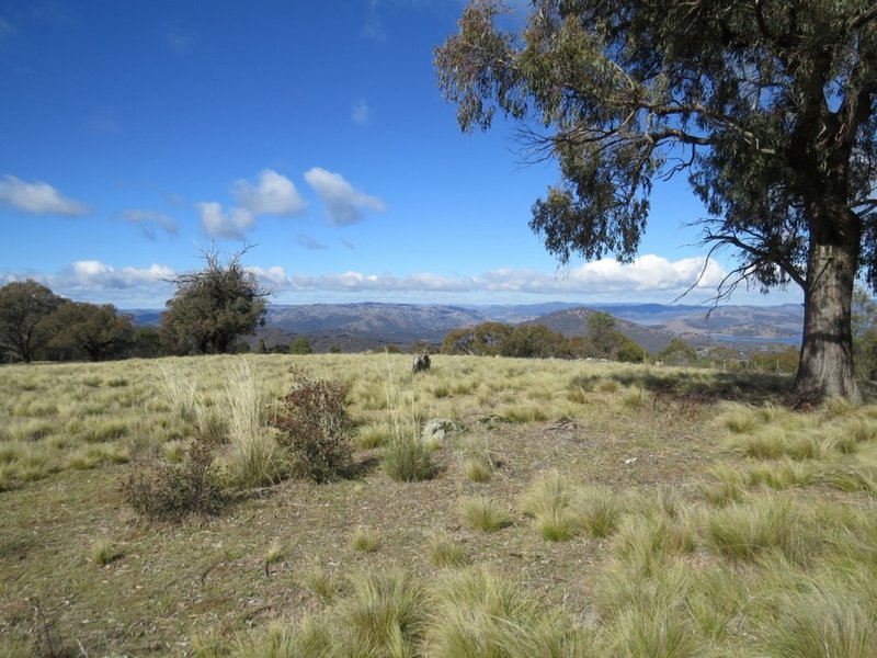 Photo - Lot 104 Clements Road, Woodstock NSW 2793 - Image 16