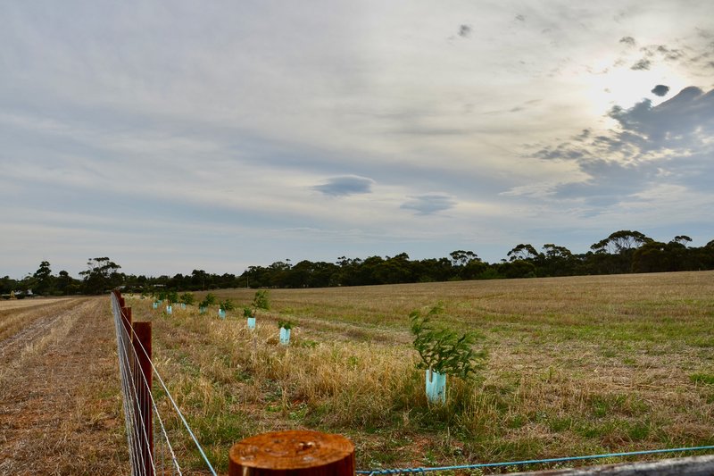 Photo - Lot 104 Eudunda Road, Dutton SA 5356 - Image 3