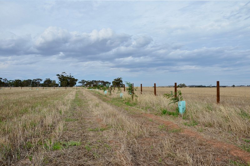 Photo - Lot 104 Eudunda Road, Dutton SA 5356 - Image 6