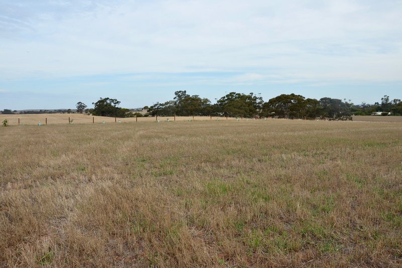 Photo - Lot 104 Eudunda Road, Dutton SA 5356 - Image 9