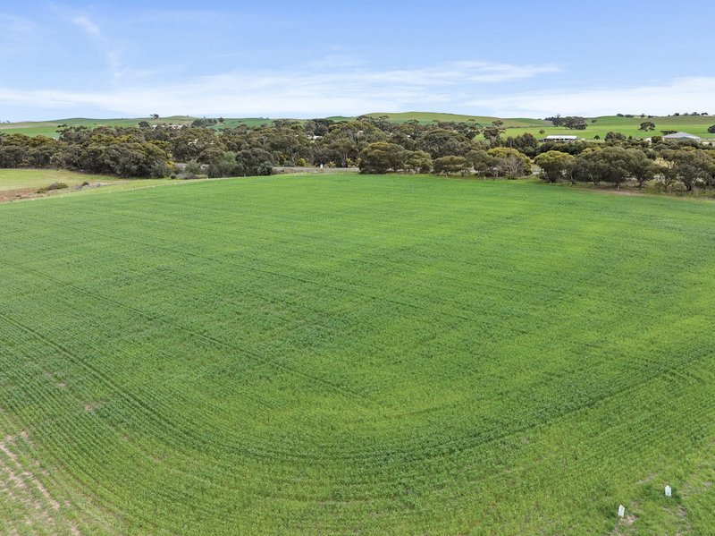 Photo - Lot 104 Eudunda Road, Dutton SA 5356 - Image 10