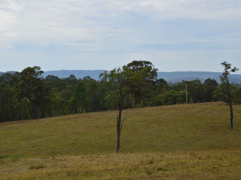 Photo - Lot 104 Rosehill Place, Branxton NSW 2335 - Image 2