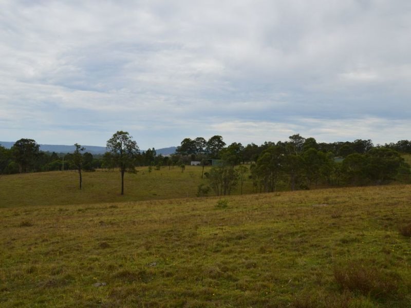 Photo - Lot 105 Rosehill Place, Branxton NSW 2335 - Image 3