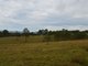 Photo - Lot 105 Rosehill Place, Branxton NSW 2335 - Image 3