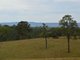 Photo - Lot 105 Rosehill Place, Branxton NSW 2335 - Image 4