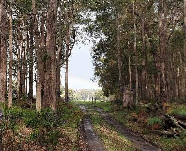 Lot 106 Wetherall Road, Quinninup WA 6258