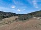 Photo - Lot 1065 Creewah Road, Creewah NSW 2631 - Image 3