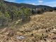 Photo - Lot 1065 Creewah Road, Creewah NSW 2631 - Image 11