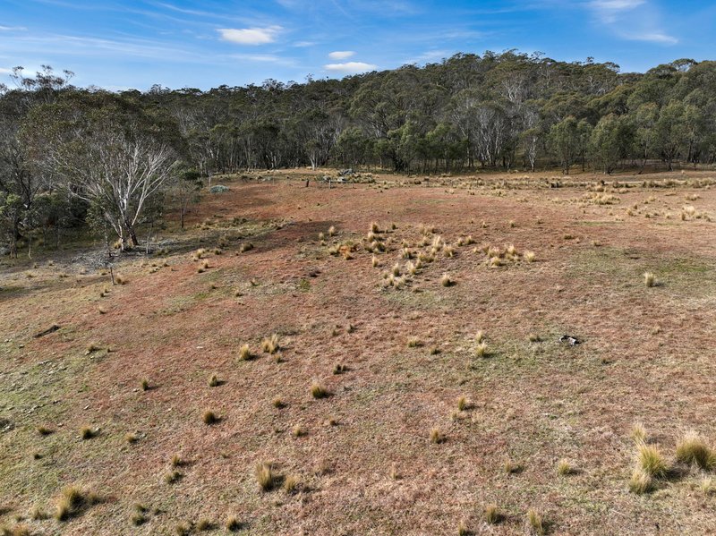 Photo - Lot 1065 Creewah Road, Creewah NSW 2631 - Image 14