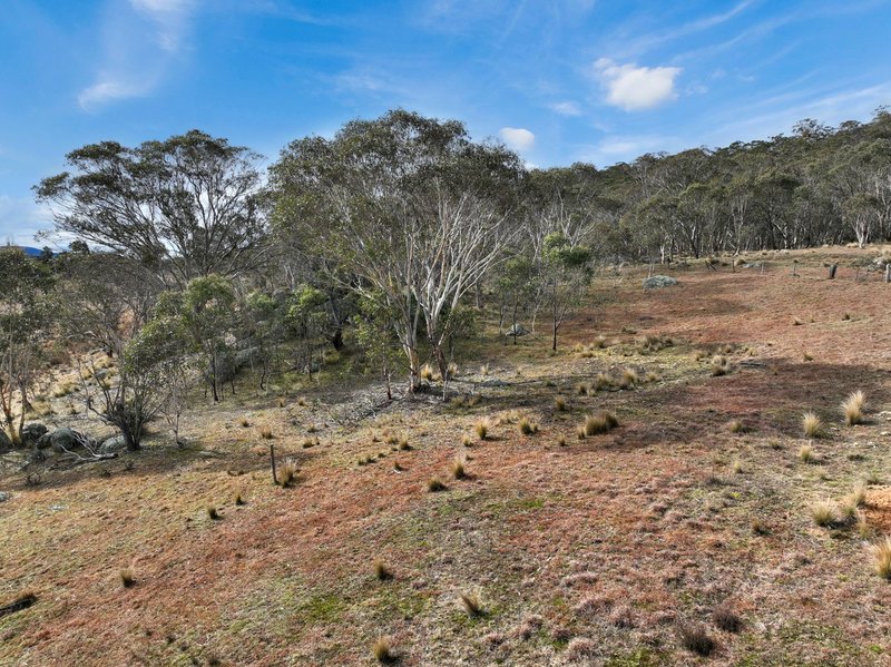 Photo - Lot 1065 Creewah Road, Creewah NSW 2631 - Image 15