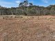 Photo - Lot 1065 Creewah Road, Creewah NSW 2631 - Image 17