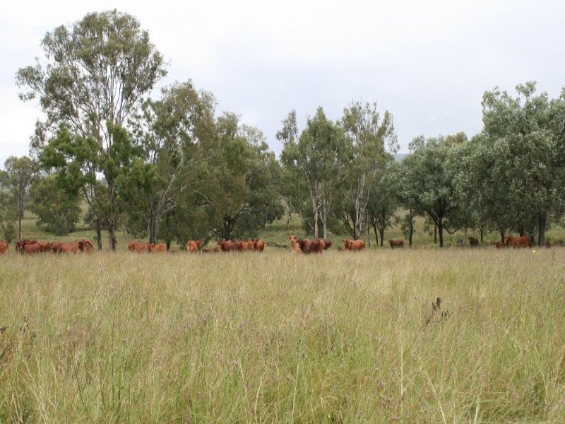 Lot 107 Mount Stanley Road, Avoca Vale QLD 4314