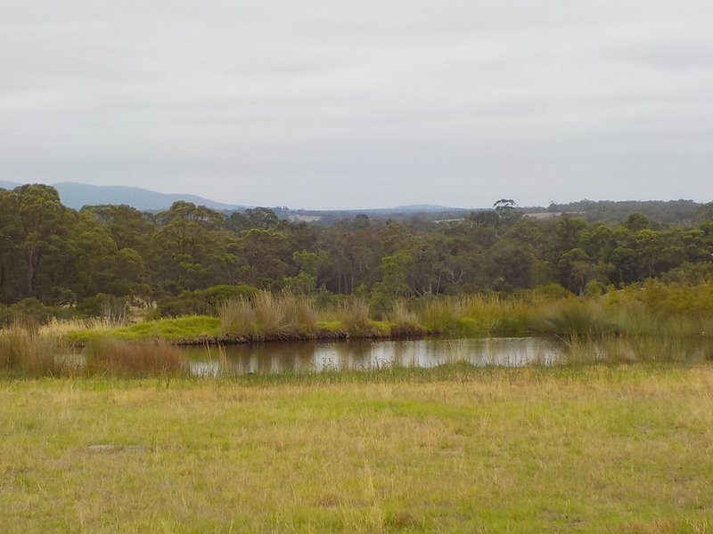 Photo - Lot 108 Hunton Road, Kalgan WA 6330 - Image 7