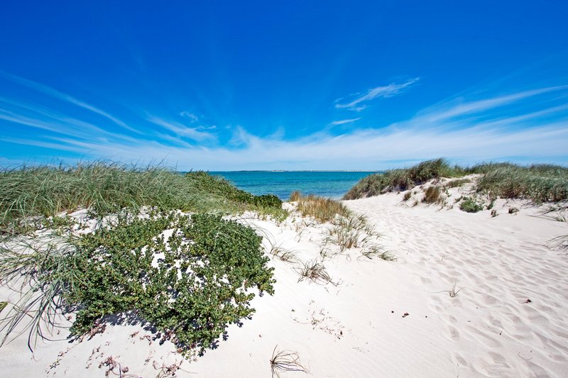 Photo - Lot 1086 Clifton Ave , Jurien Bay WA 6516 - Image 6