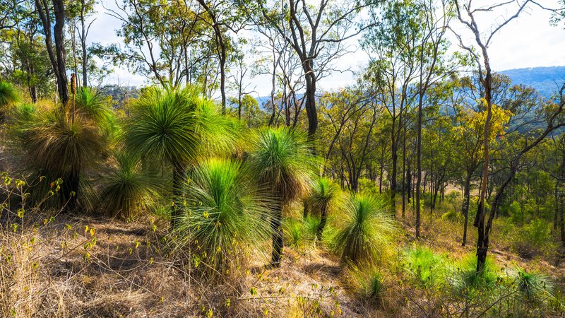 Lot 109 Davis Road, West Haldon QLD 4359