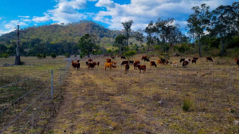 Photo - Lot 109 Davis Road, West Haldon QLD 4359 - Image 15