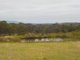 Photo - Lot 109 Glenelg Drive, Kalgan WA 6330 - Image 7