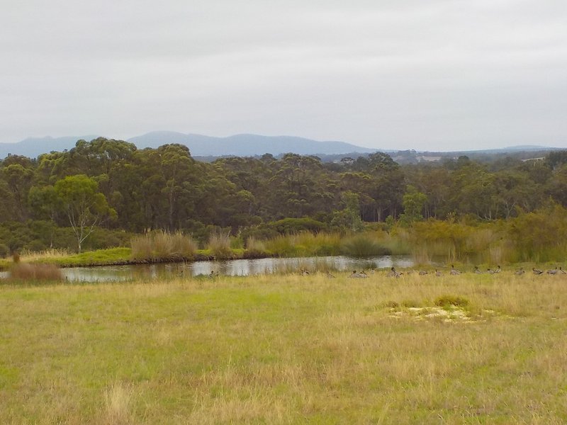 Photo - Lot 109 Glenelg Drive, Kalgan WA 6330 - Image 9