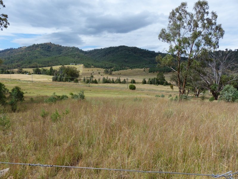 Photo - Lot 11 1300 Upper Moore Creek Road, Tamworth NSW 2340 - Image 2