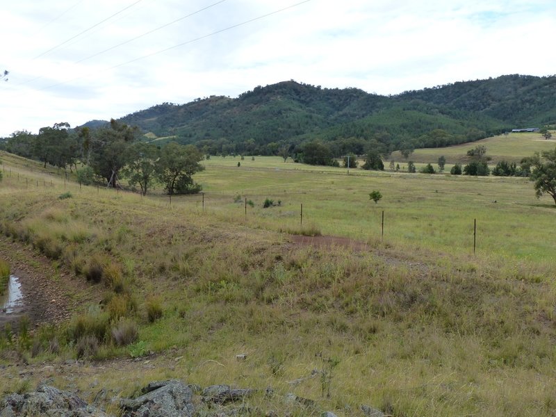 Photo - Lot 11 1300 Upper Moore Creek Road, Tamworth NSW 2340 - Image 3